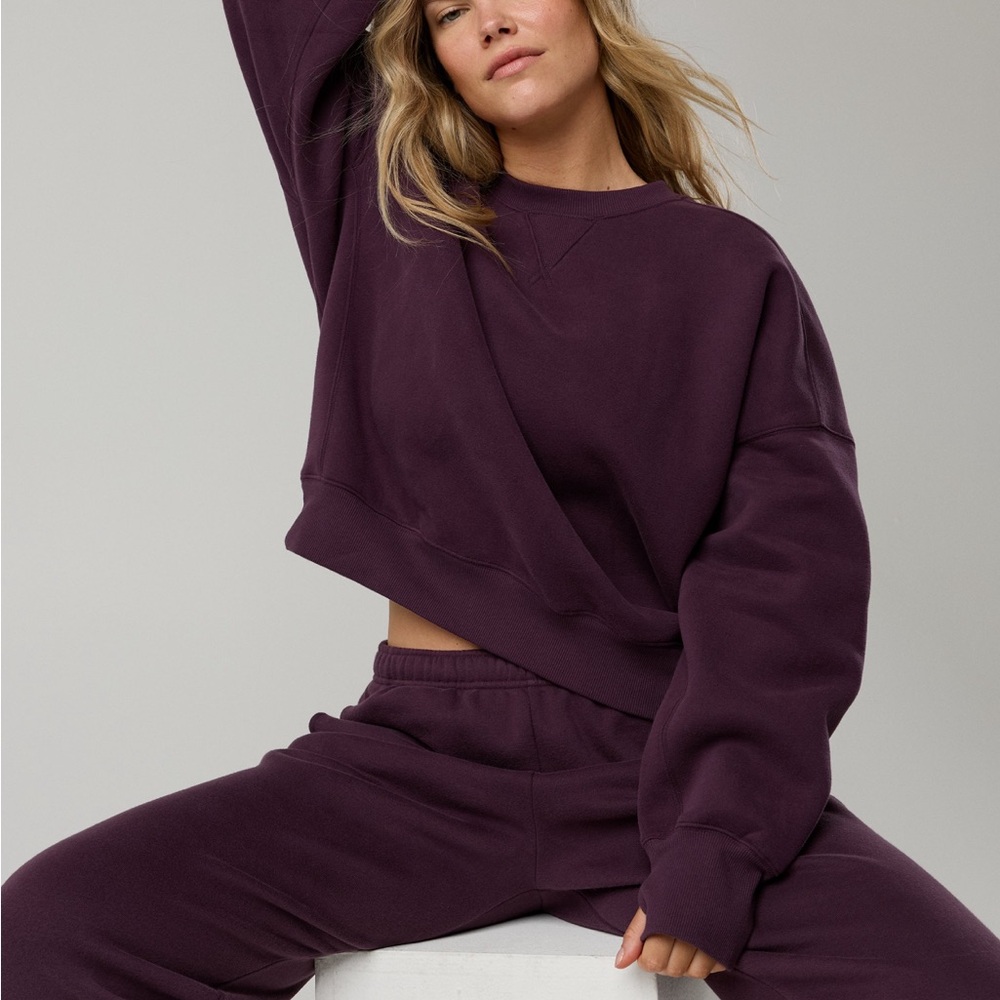 Aerie cloud fleece plum crewneck sweatshirt XS